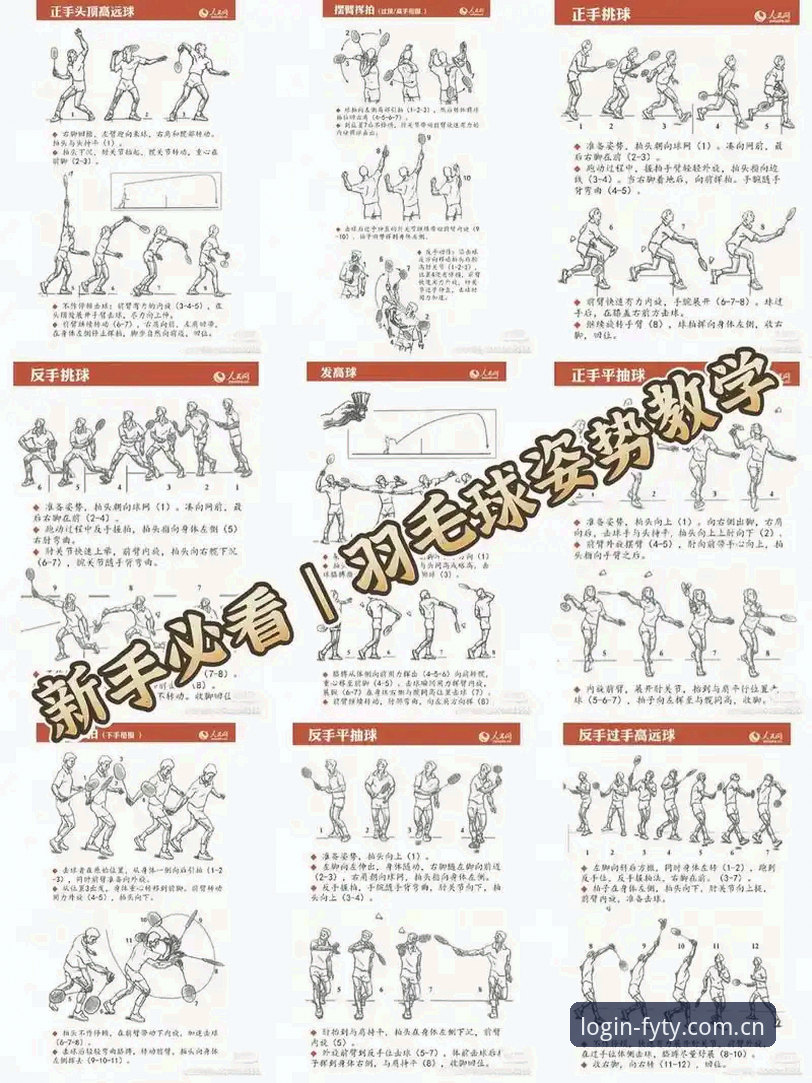 飞亚体育怎么样：从入门到精通的使用指南
